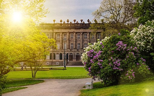 Sonnenaufgang hinter dem Schloss Wilhelmshöhe, blühende Bäume und Büsche