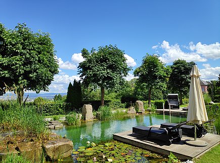 Naturschwimmteich im Wellness-Garten