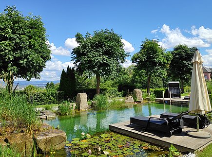 Natural swimming pond in the wellness garden